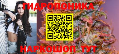 стафф Кулебаки
