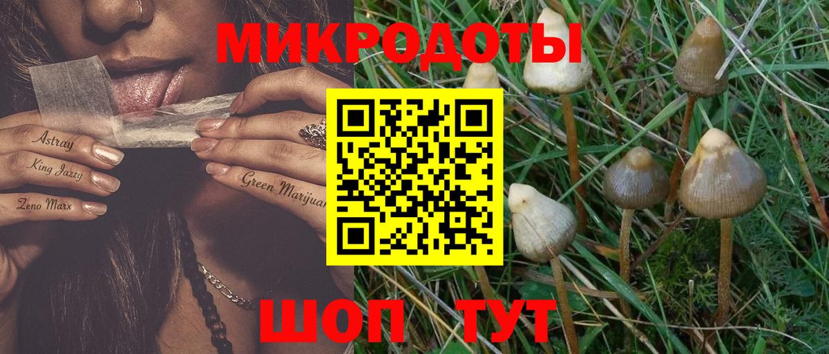 Галлюциногенные грибы MAGIC MUSHROOMS  Вход с VPN  Каменка  Галлюциногенные грибы Psilocybine cubensis 